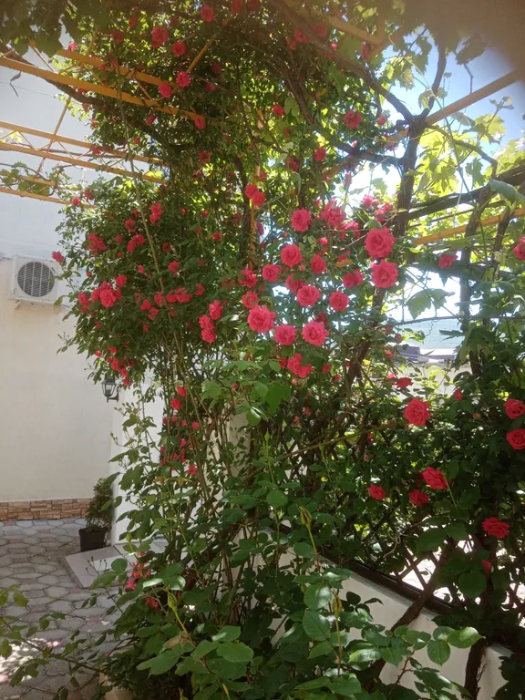 Недорогая комната с видом на горы