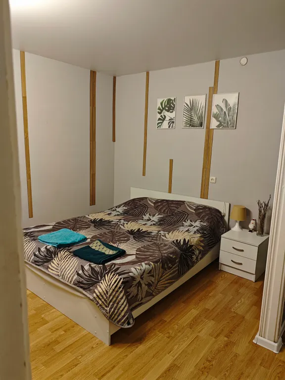 Уютная квартира в центре города — аренда посуточно в Петрозаводск