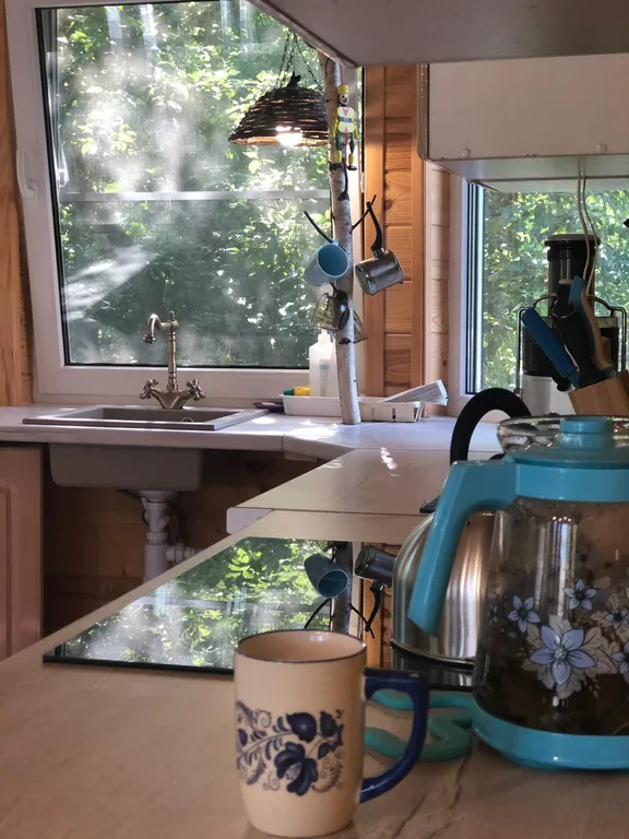 Дом в Калинках