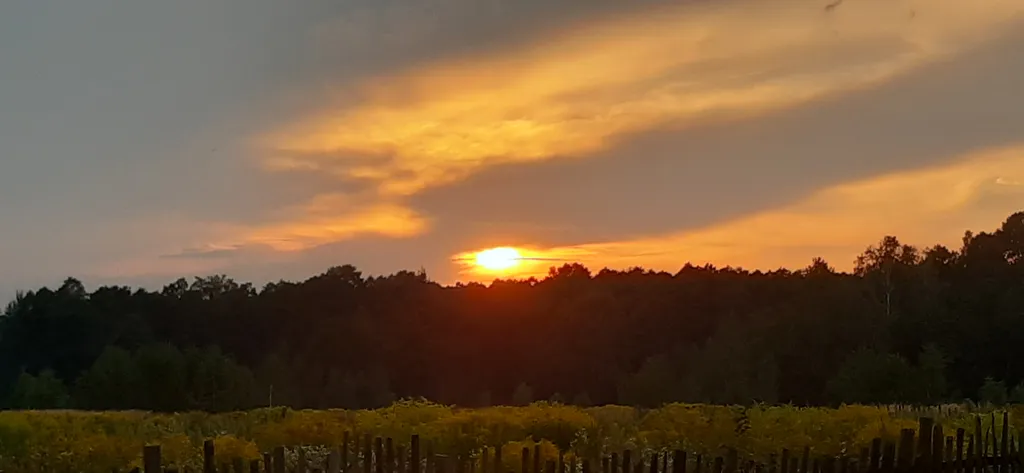 Солнечный домик в беловежской пуще без соседей, баня, озера, экскурсии