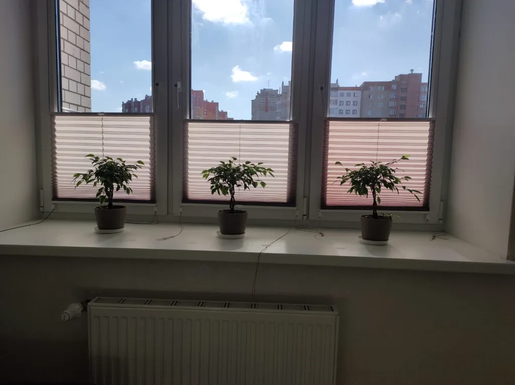 Студия в центре Бреста