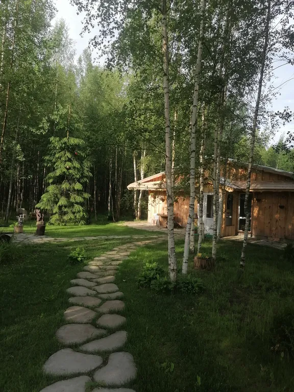 Домик в лесу с баней