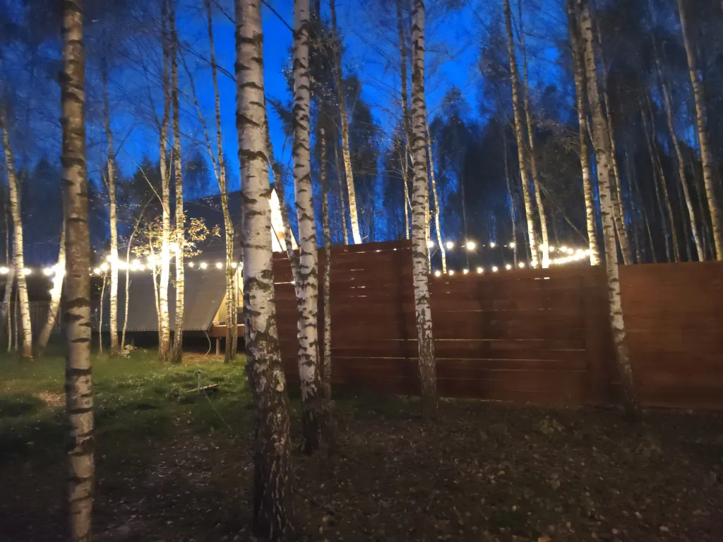 Гостевой дом ЭКO дуб