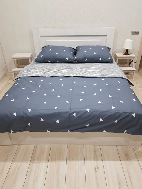 Квартира Апартаменты в центре города — аренда посуточно в Барановичи