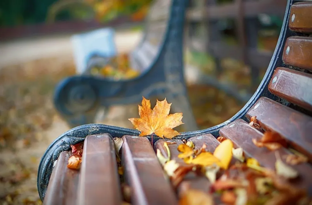 Дом под ключ возле моря