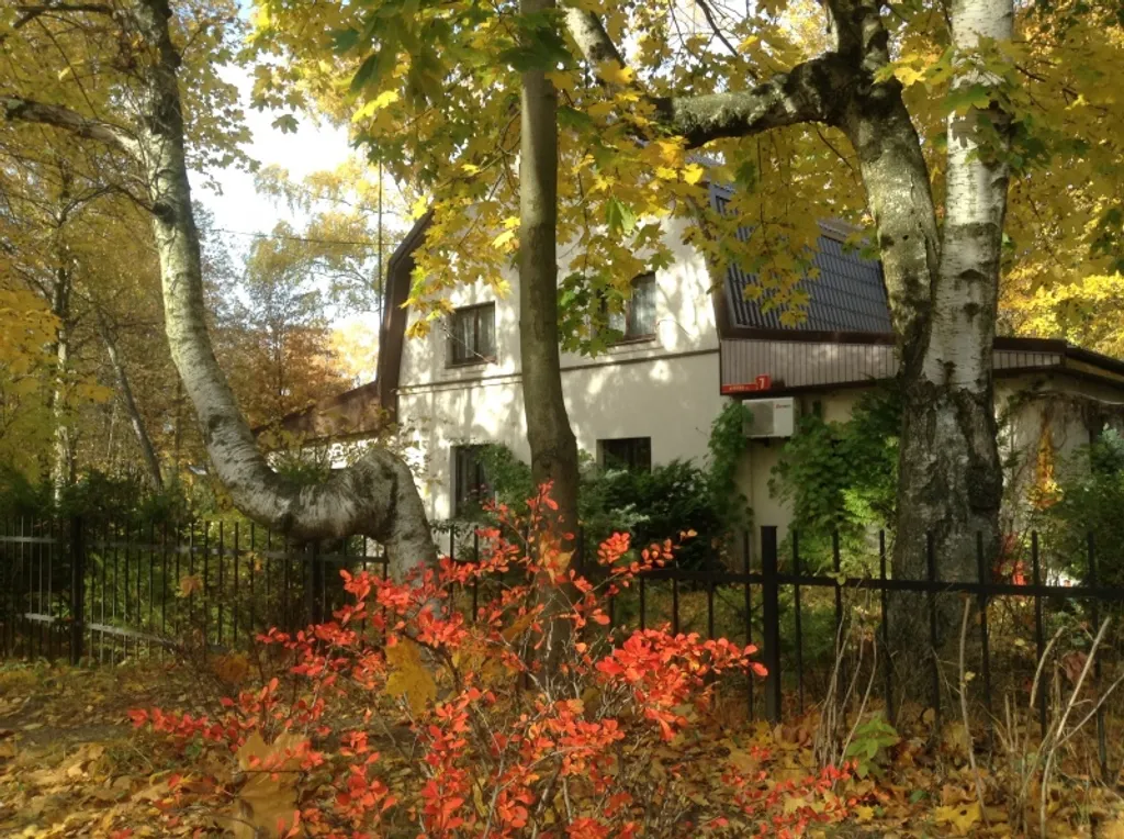 Студия Red в центре у моря