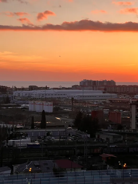 ЖК Фрукты Гранат 3092