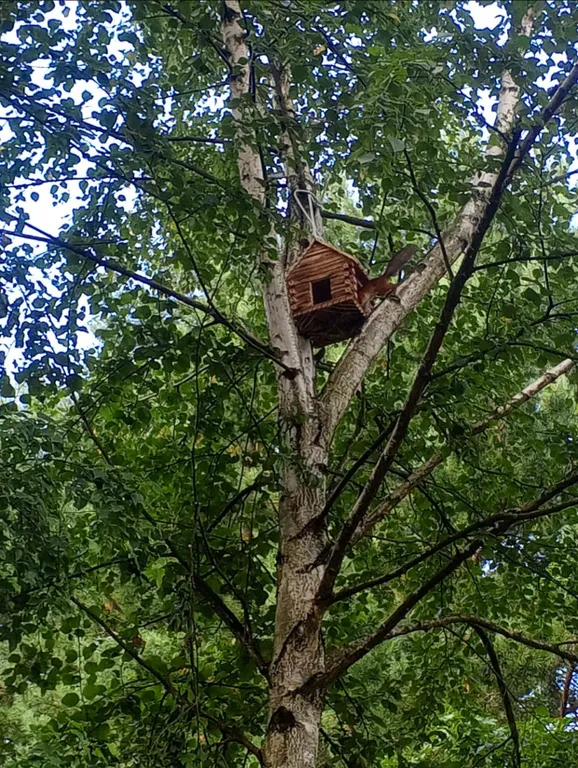 Коттедж Дом в заповедной зоне рядом с озерами — Мышецкое
