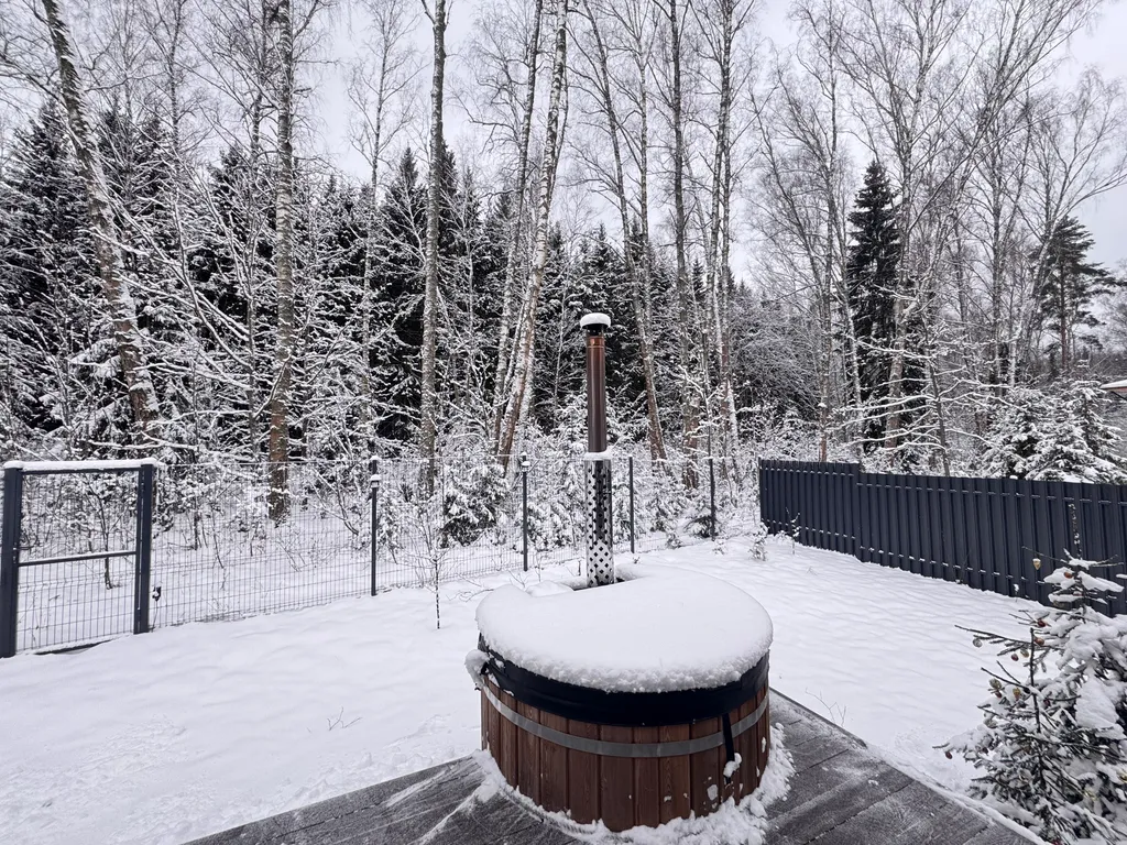 Загородный домик с камином и потрясающим видом на лес