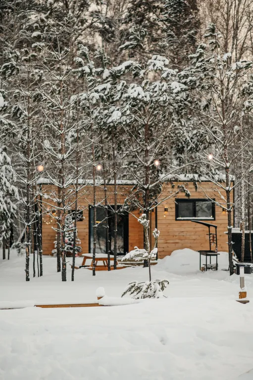 Комфорт+ домик в лесу