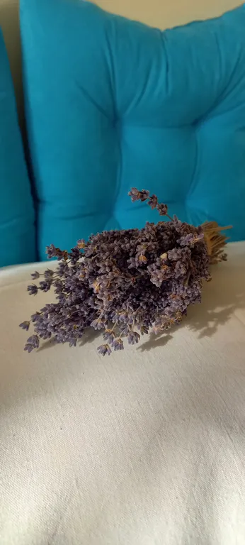 Уютная комната "спальня" для 3х гостей