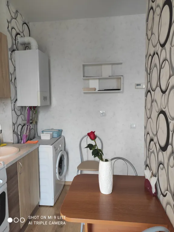 Квартира 1-комнатная Квартира — Светлогорск