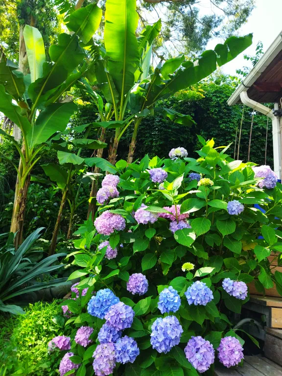 3-комнатная квартира в доме с видом на горы и море