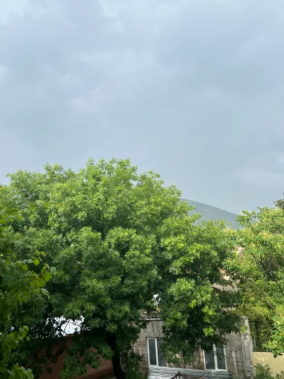 Уютная квартира в самом центре города, закрытая территория с парковкой