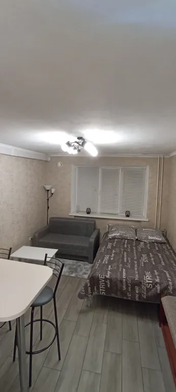 Уютная студия в центре города