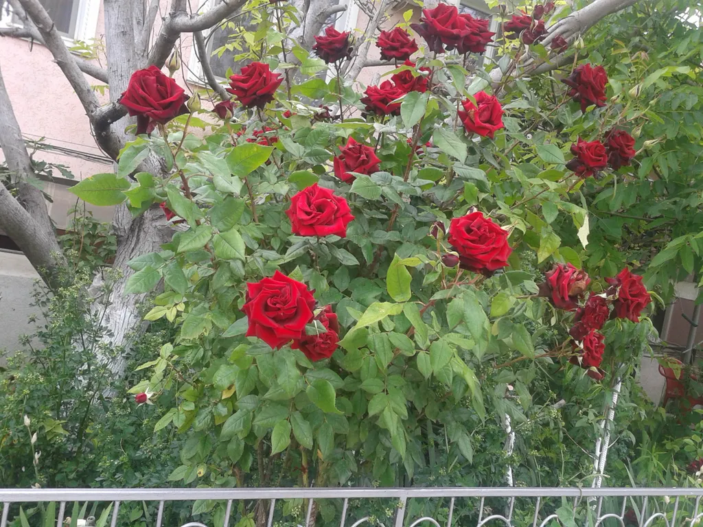 Квартира Бежевая комната-все удобства — Севастополь