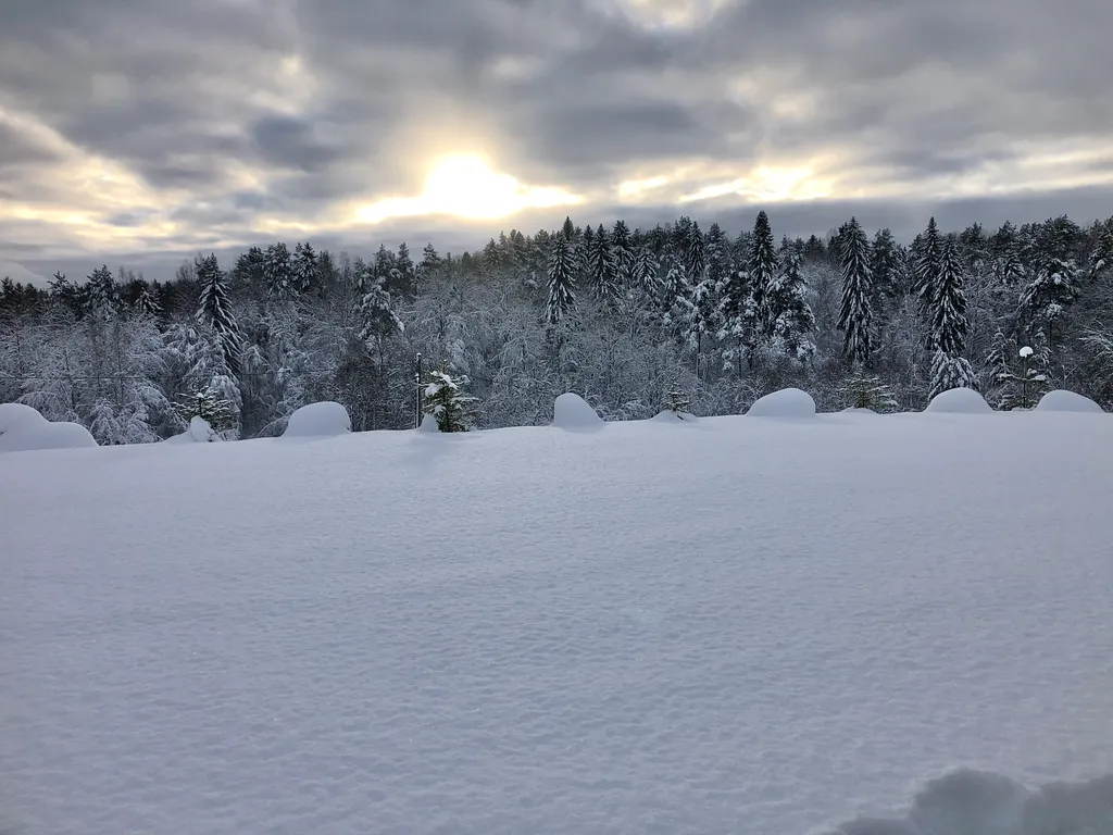 Дом на Скале