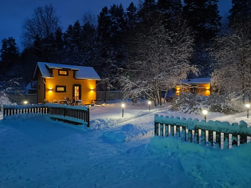 Коттедж Коттедж Shuya Tiny House 2 — Петрозаводск