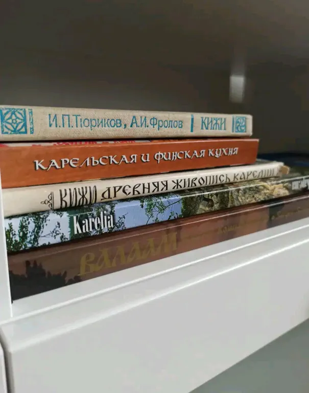Уютная квартира в 5 минутах от набережной Онеги и центра