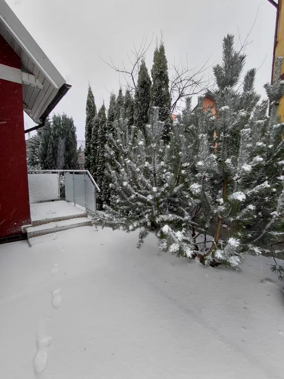 Уютный дом в центре Светлогорска