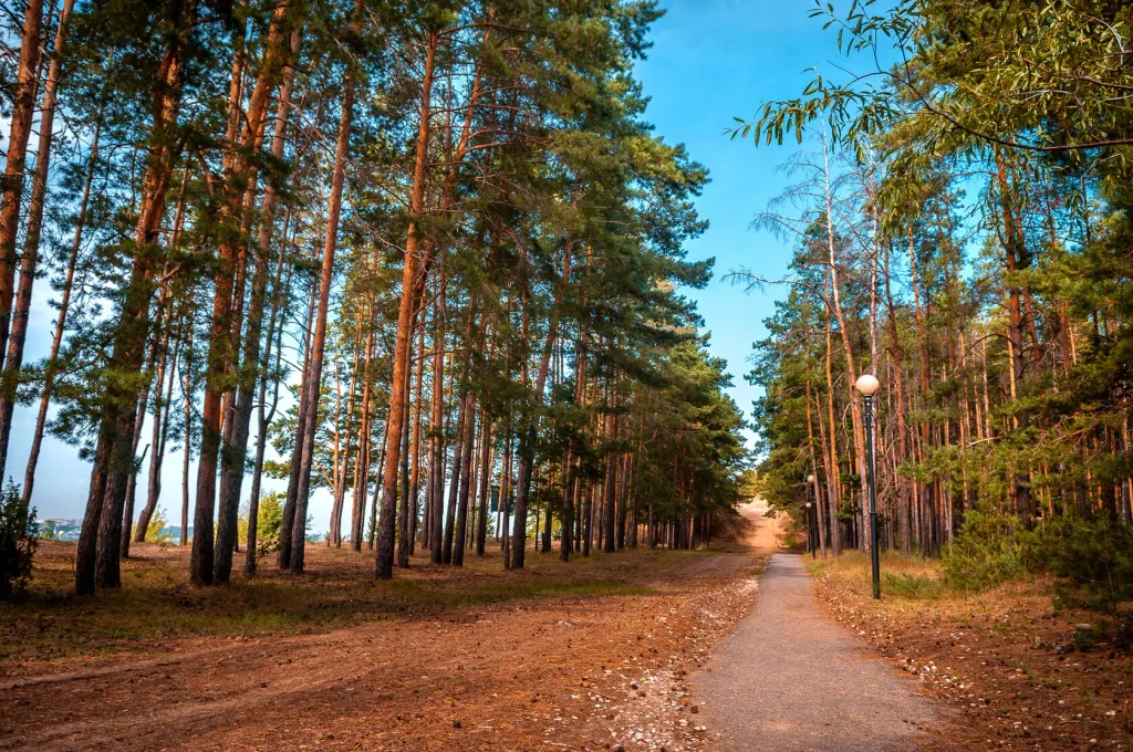 Квартира в заволжье