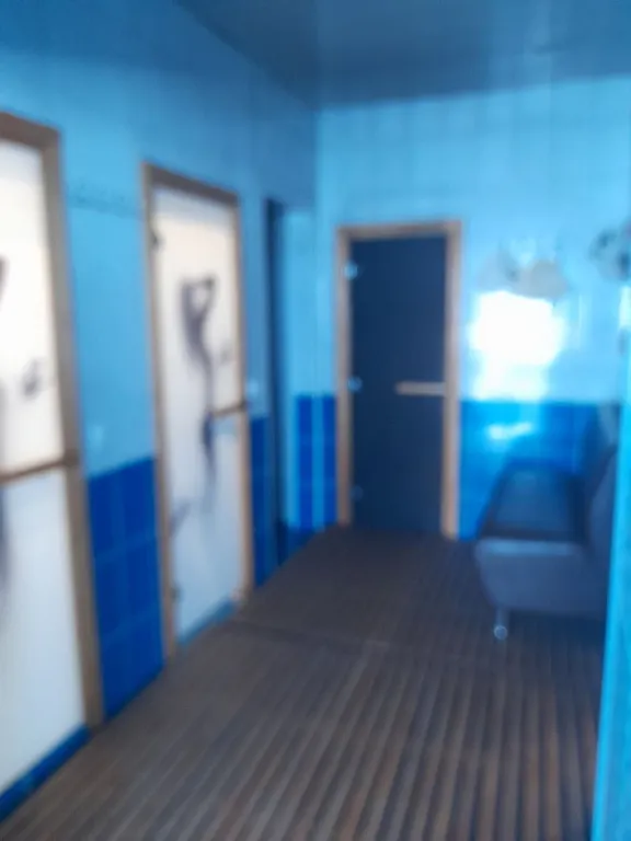 Дом с баней, бассейном и караоке