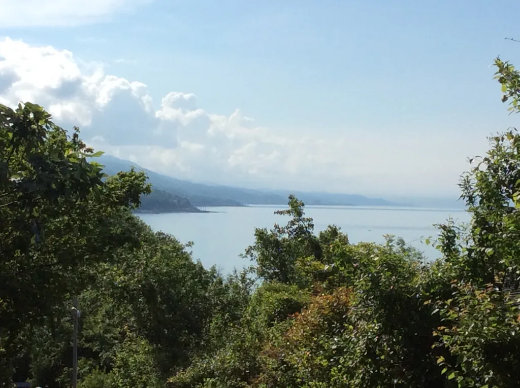 Половина дома с отдельным входом, с садом на берегу Чёрного моря