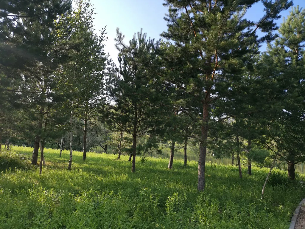 Современный уютный домик с камином на берегу реки Оки