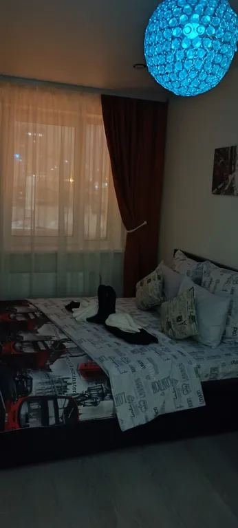 Zebra от Resident Ufa