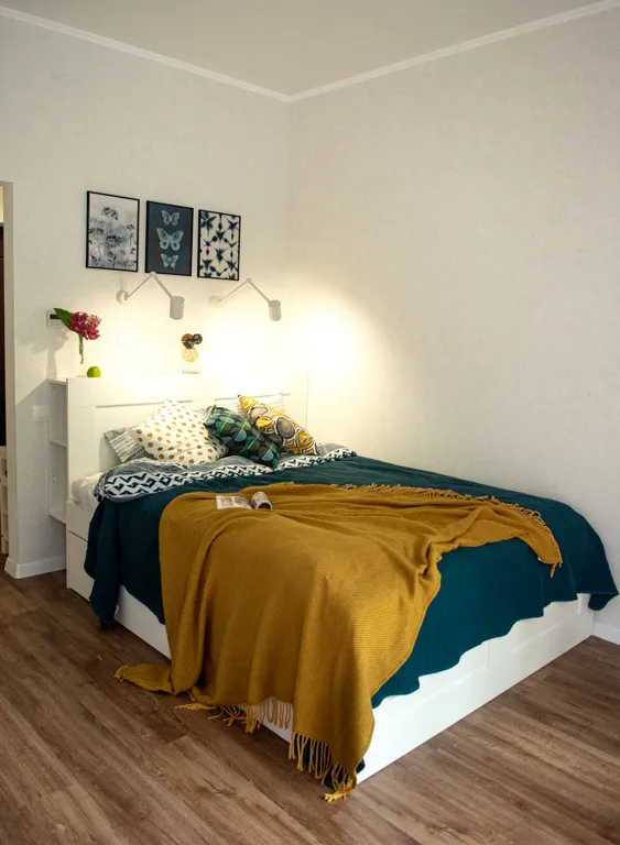 Студия балтийские сосны