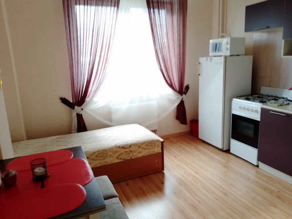 Красивые апартаменты с  видом из окна