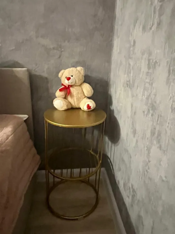 Уютная квартира в центре города с новым ремонтом