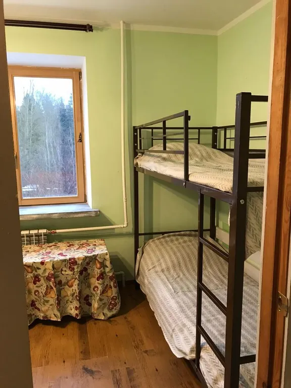 Апартаменты в лесу