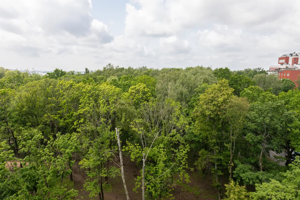 Квартира Fresh world apartments квартира с видом на парк в центре города — Калининград