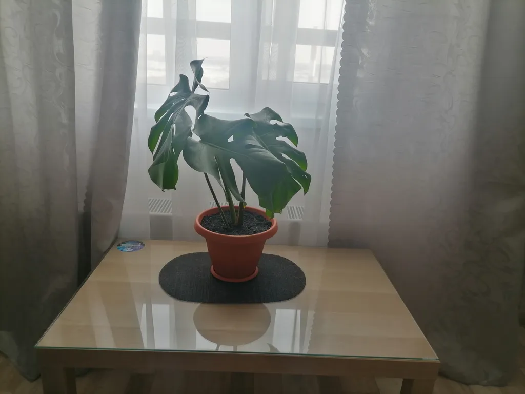 Уютная квартира в новом доме