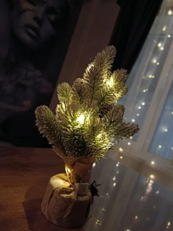 Аренда дома с чаном