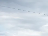 Алевтина