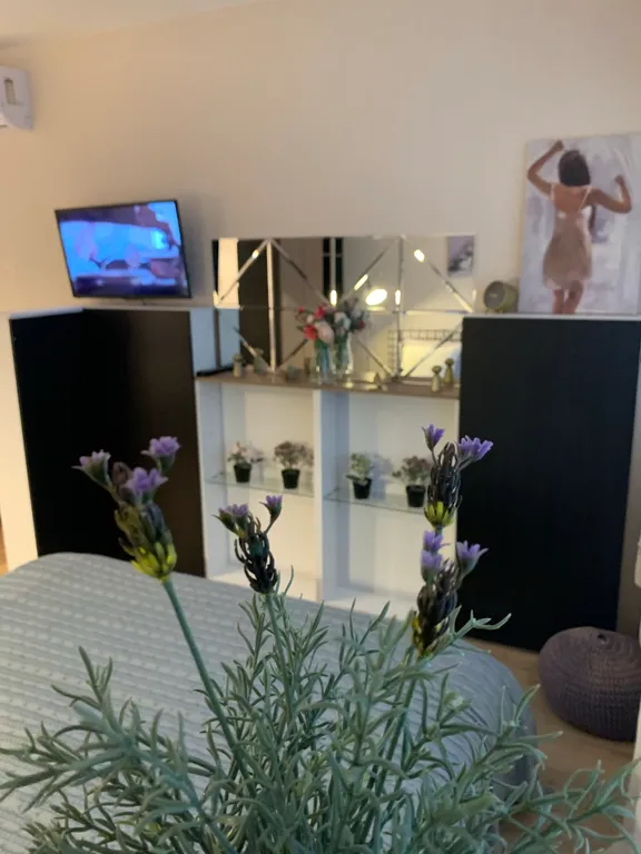 Квартира-студия недалеко от Зоопарка