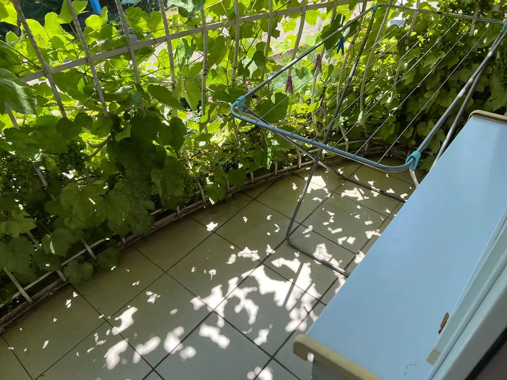 Комната для кратковременного проживания в центре