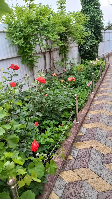 Уютная комната в доме с ванной комнатой