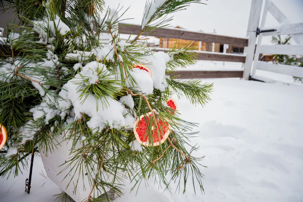 Коттедж Дом-дача Ромашки — Луховицы