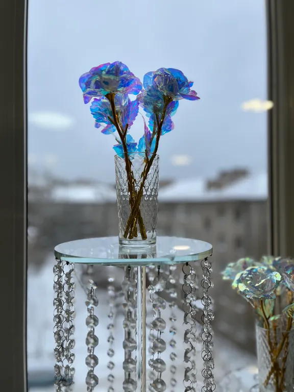 Тропическая квартира в центре города