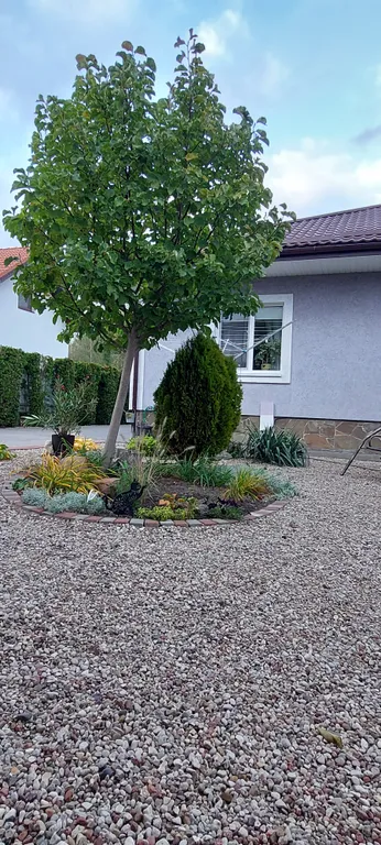 Уютный дом в черте города для комфортного отдыха в лесной местности