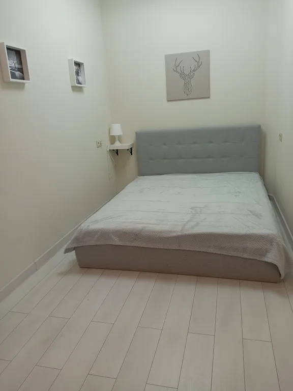 Жилье в центре