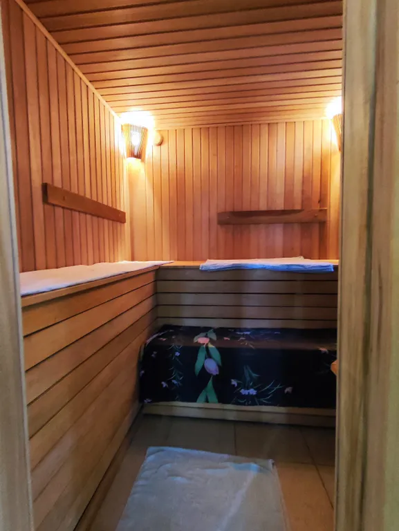 Шикарный дом с сауной и бильярдом.