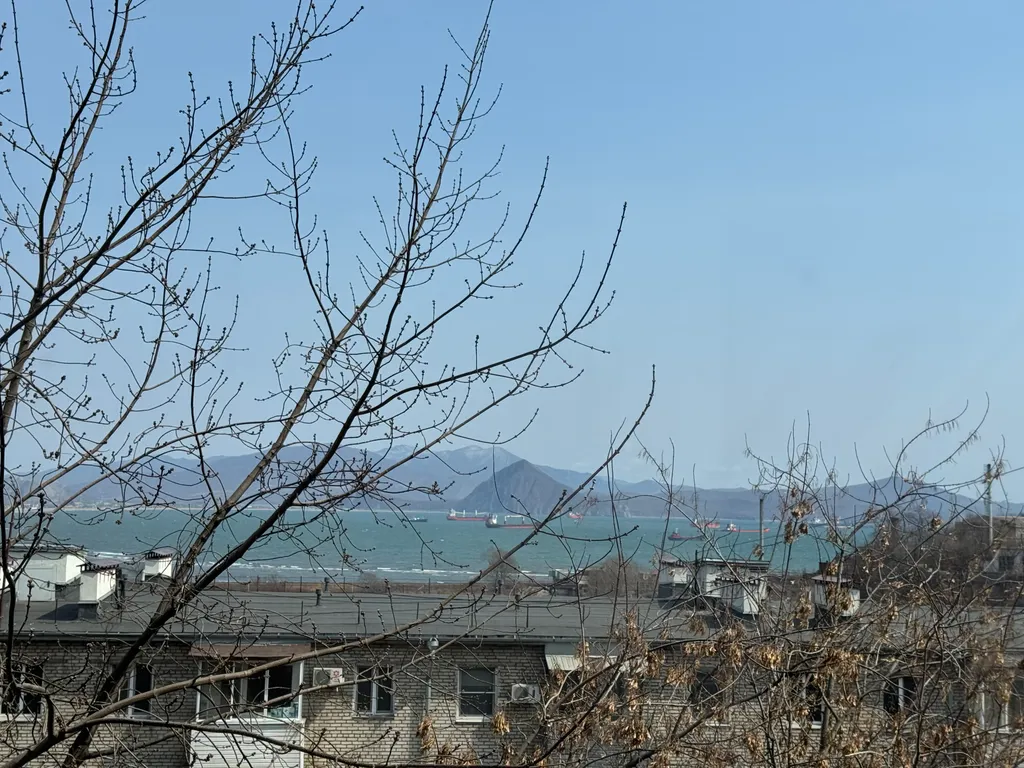 Уютная квартира в центре города с видом на море — аренда посуточно в Находка