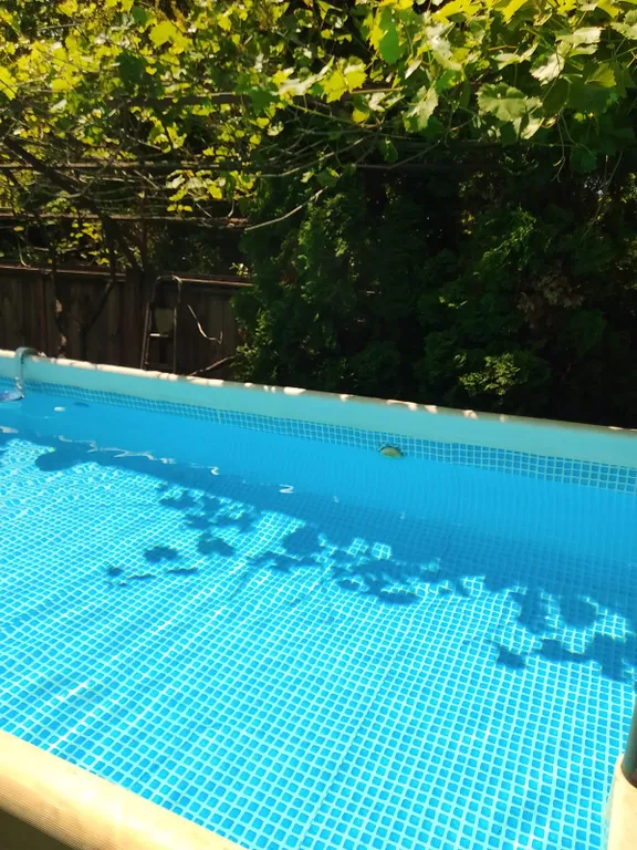 Коттедж Уютный дом в 300 метрах от моря для большой семьи или компании друзей — Нижняя Хобза