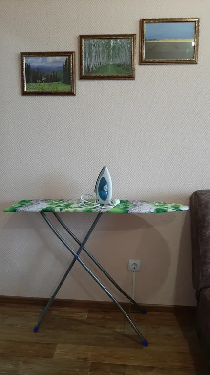 Чистая и уютная студия с видом на долину Енисея