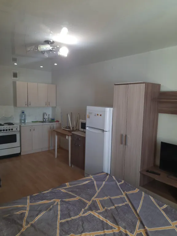 Студия в ЖК Малахит