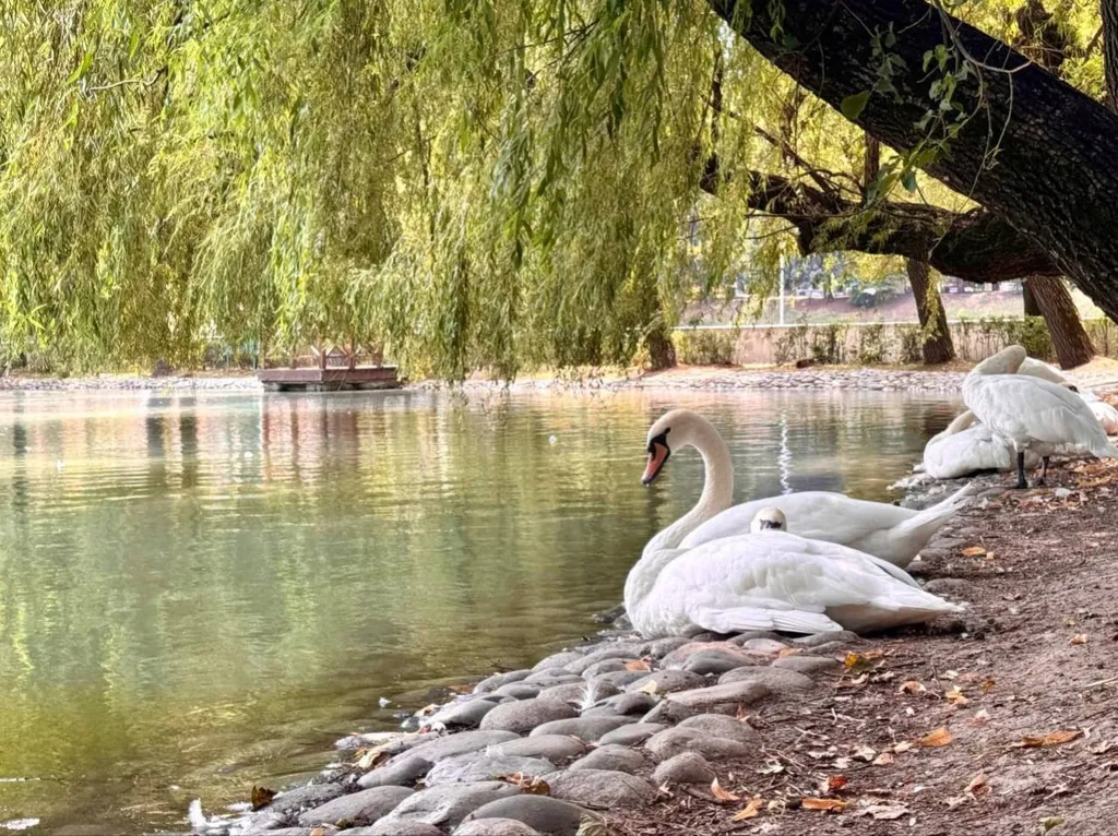 Квартира Квартира Уголок для комфортного отдыха — Владикавказ